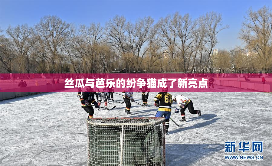 丝瓜与芭乐的纷争猫成了新亮点