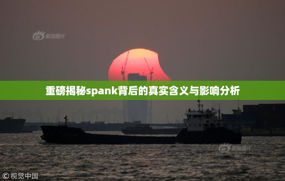 重磅揭秘spank背后的真实含义与影响分析