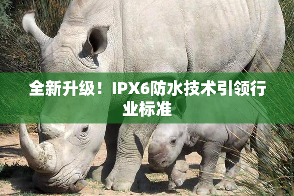 全新升级！IPX6防水技术引领行业标准