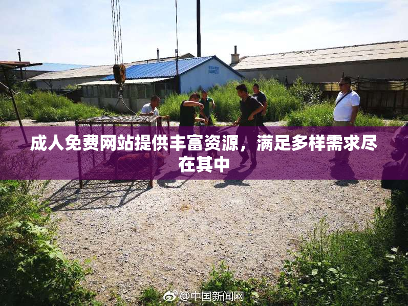 成人免费网站提供丰富资源，满足多样需求尽在其中