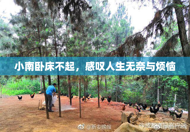 小南卧床不起，感叹人生无奈与烦恼