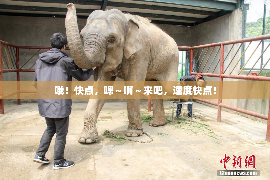 哦！快点，嗯～啊～来吧，速度快点！