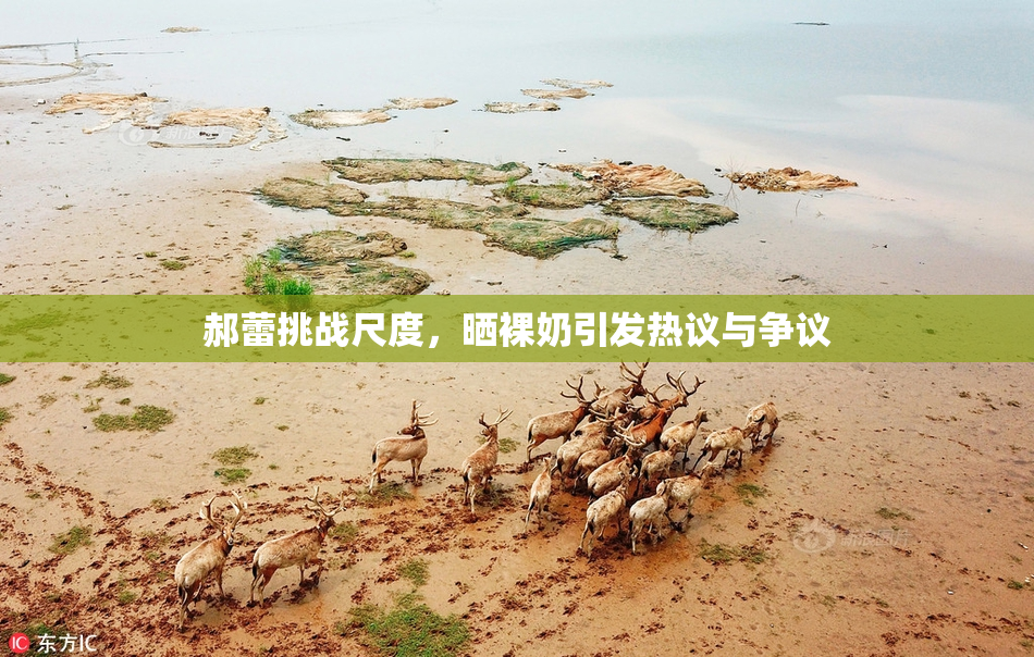 郝蕾挑战尺度，晒裸奶引发热议与争议