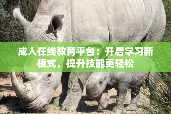成人在线教育平台：开启学习新模式，提升技能更轻松