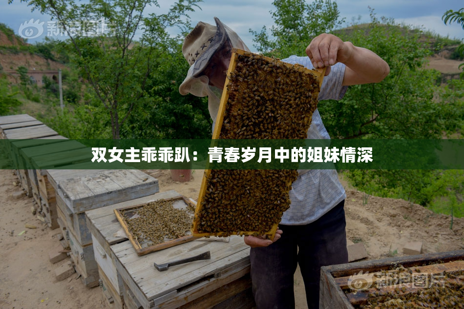 双女主乖乖趴：青春岁月中的姐妹情深