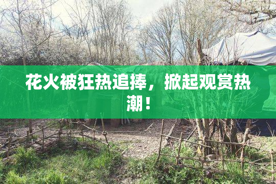 花火被狂热追捧，掀起观赏热潮！