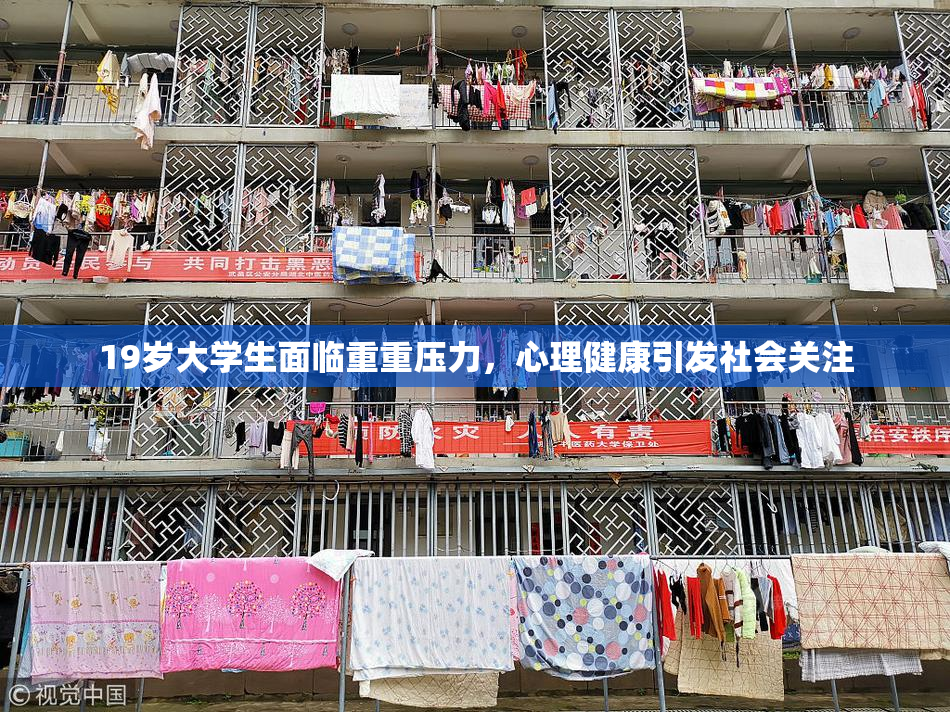 19岁大学生面临重重压力，心理健康引发社会关注