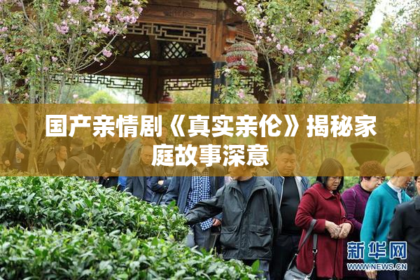 国产亲情剧《真实亲伦》揭秘家庭故事深意