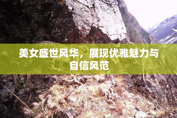 美女盛世风华，展现优雅魅力与自信风范