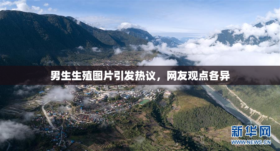 男生生殖图片引发热议，网友观点各异