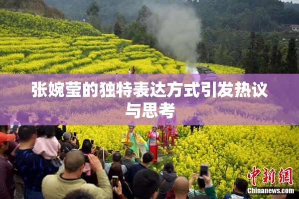 张婉莹的独特表达方式引发热议与思考