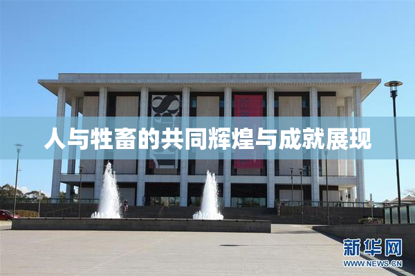 人与牲畜的共同辉煌与成就展现