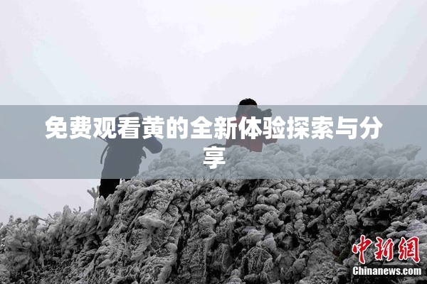 免费观看黄的全新体验探索与分享