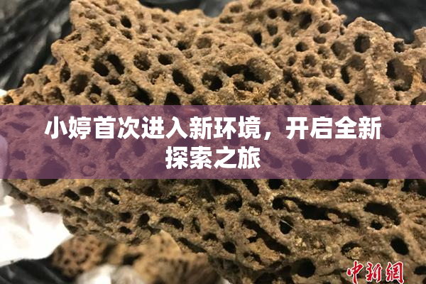 小婷首次进入新环境，开启全新探索之旅