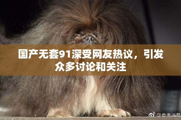 国产无套91深受网友热议，引发众多讨论和关注