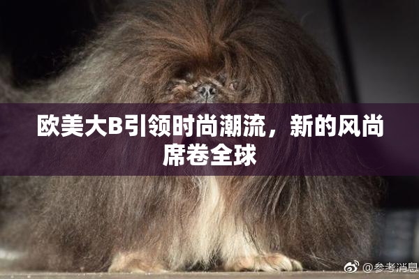 欧美大B引领时尚潮流，新的风尚席卷全球