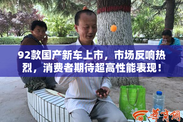92款国产新车上市，市场反响热烈，消费者期待超高性能表现！