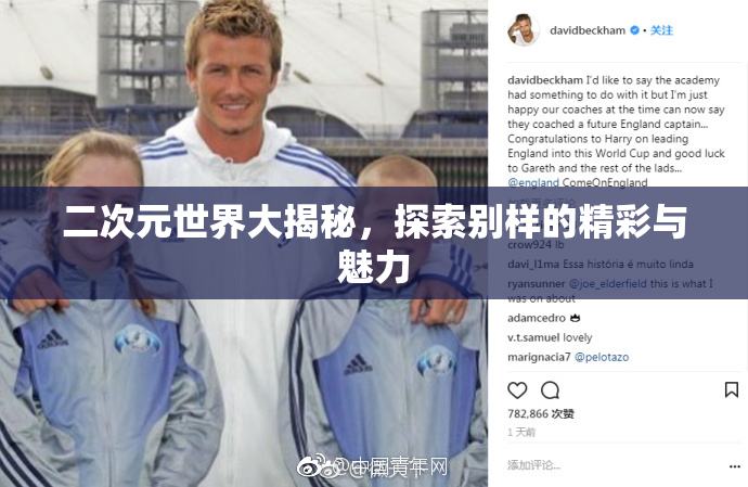 二次元世界大揭秘，探索别样的精彩与魅力