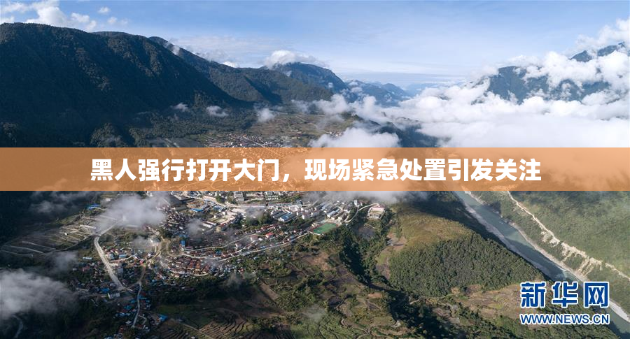 黑人强行打开大门，现场紧急处置引发关注