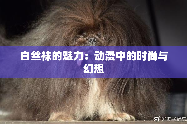 白丝袜的魅力：动漫中的时尚与幻想
