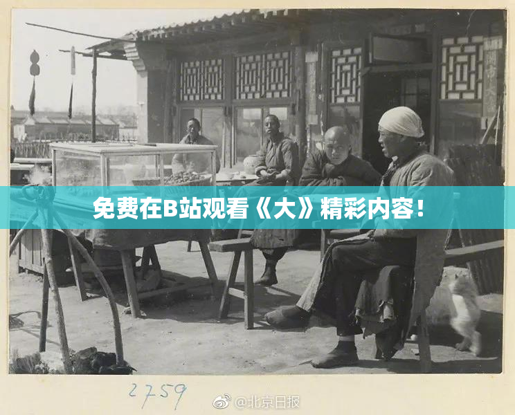 免费在B站观看《大》精彩内容！