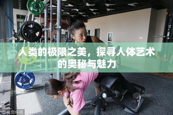 人类的极限之美，探寻人体艺术的奥秘与魅力