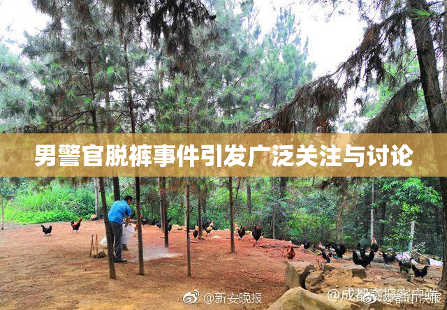男警官脱裤事件引发广泛关注与讨论