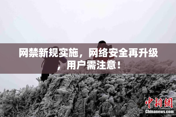 网禁新规实施，网络安全再升级，用户需注意！
