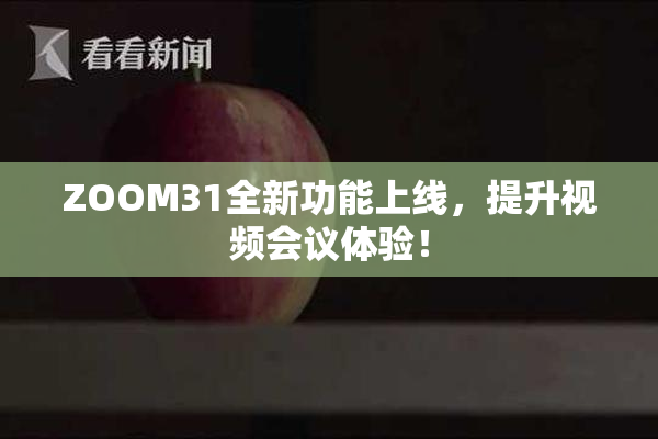 ZOOM31全新功能上线，提升视频会议体验！