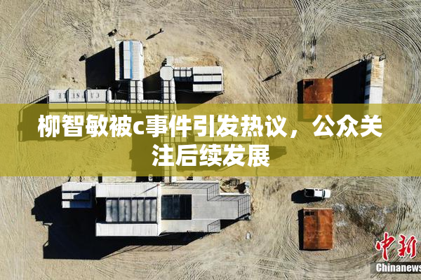 柳智敏被c事件引发热议，公众关注后续发展