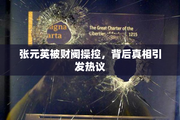 张元英被财阀操控，背后真相引发热议