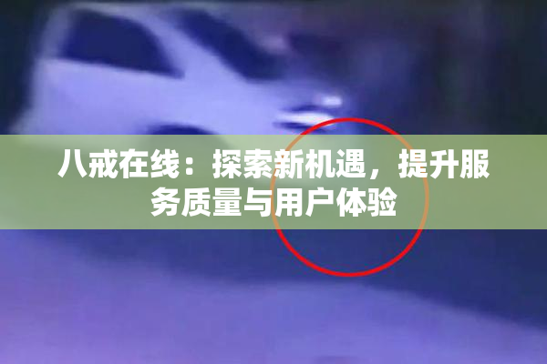 八戒在线：探索新机遇，提升服务质量与用户体验