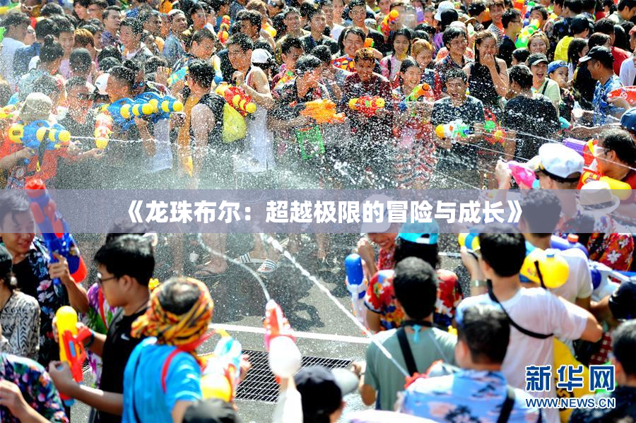 《龙珠布尔：超越极限的冒险与成长》