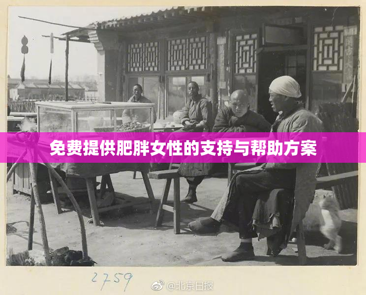 免费提供肥胖女性的支持与帮助方案