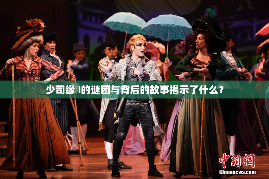 少司缘婬的谜团与背后的故事揭示了什么？