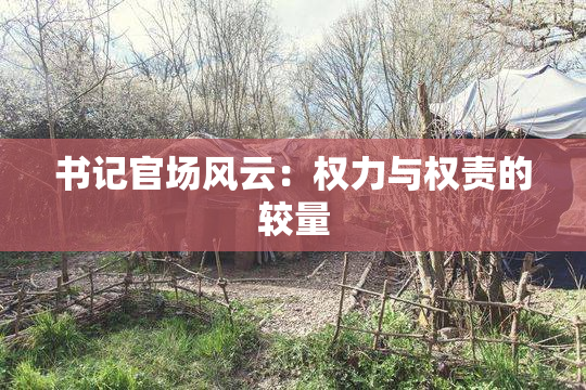 书记官场风云：权力与权责的较量