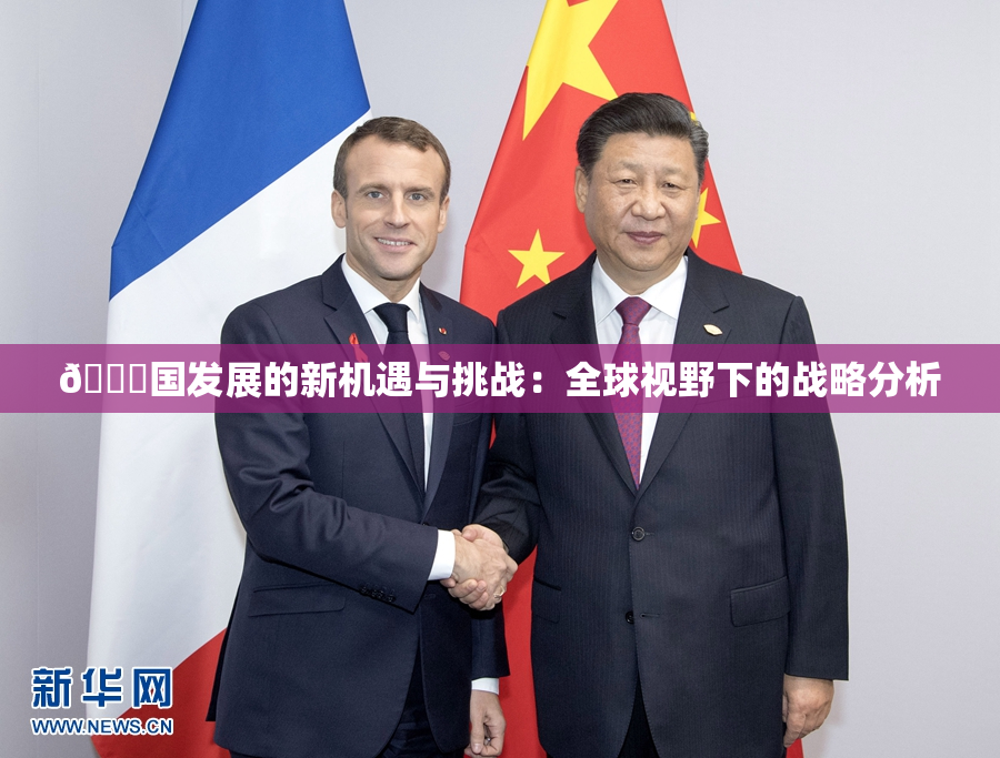 🔞国发展的新机遇与挑战：全球视野下的战略分析