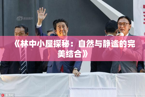 《林中小屋探秘：自然与静谧的完美结合》