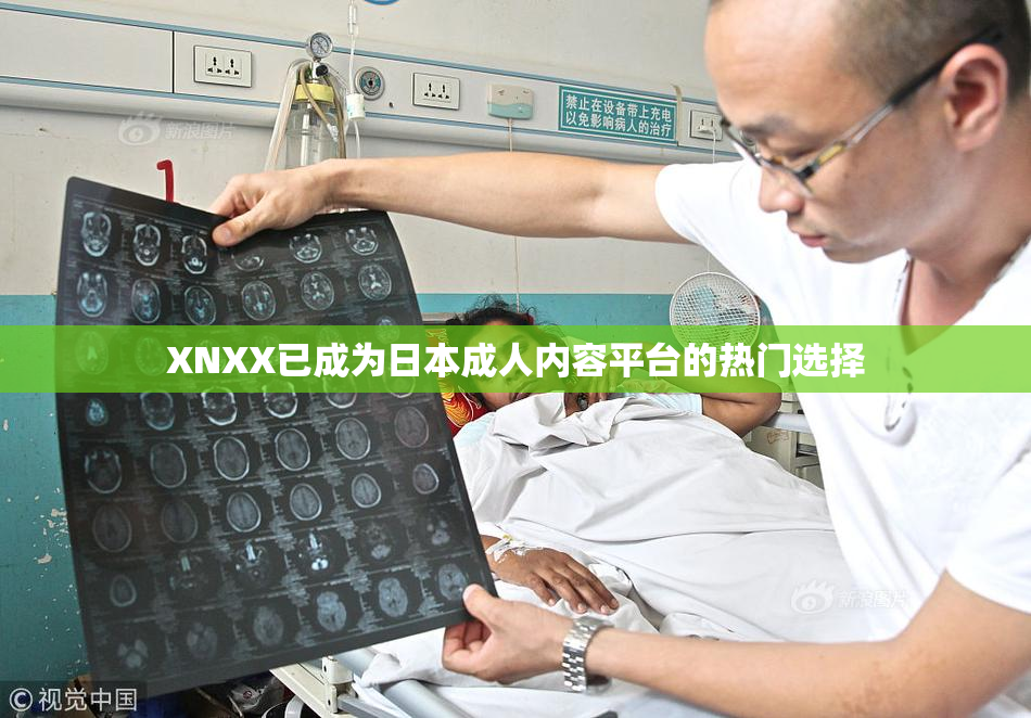 XNXX已成为日本成人内容平台的热门选择