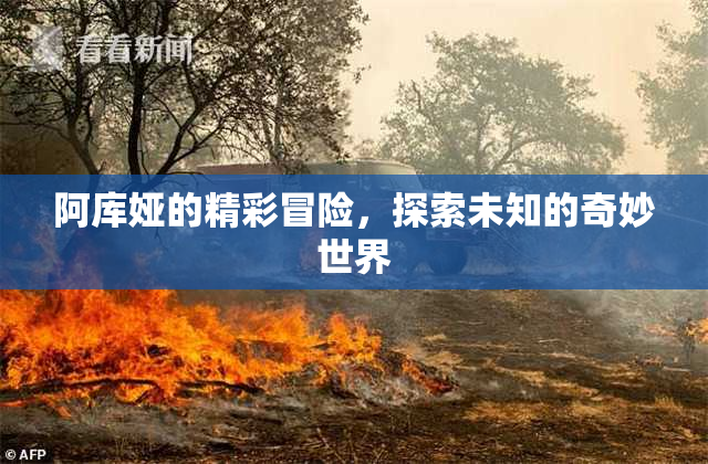 阿库娅的精彩冒险，探索未知的奇妙世界