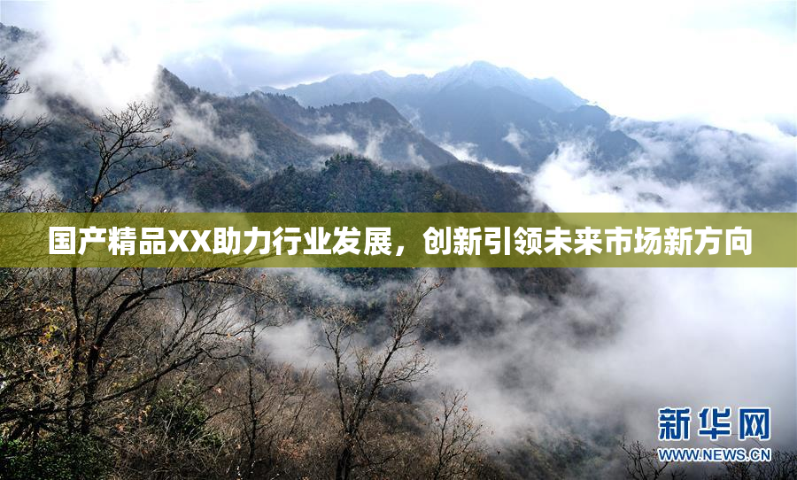 国产精品XX助力行业发展，创新引领未来市场新方向