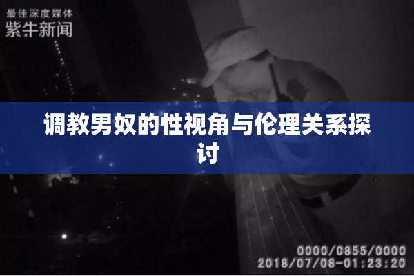 调教男奴的性视角与伦理关系探讨