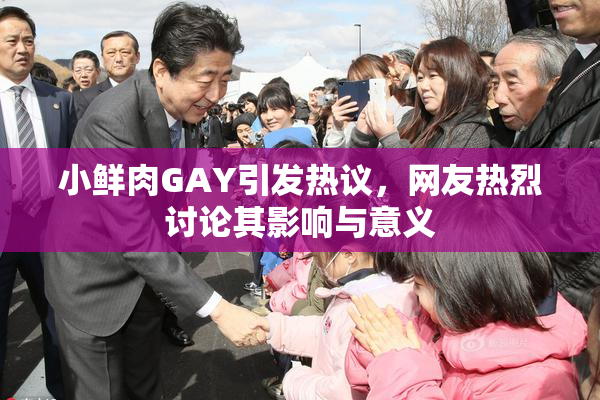 小鲜肉GAY引发热议，网友热烈讨论其影响与意义