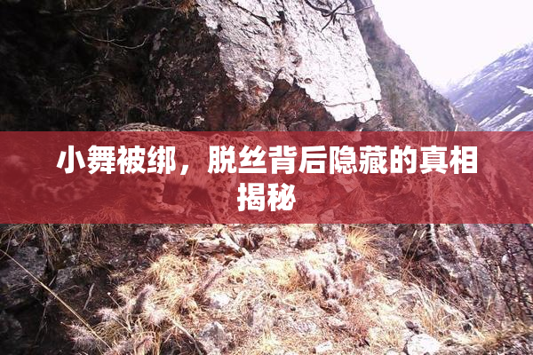 小舞被绑，脱丝背后隐藏的真相揭秘
