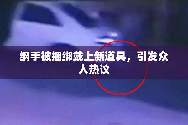 纲手被捆绑戴上新道具，引发众人热议