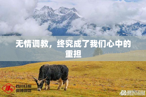 无情调教，终究成了我们心中的重担