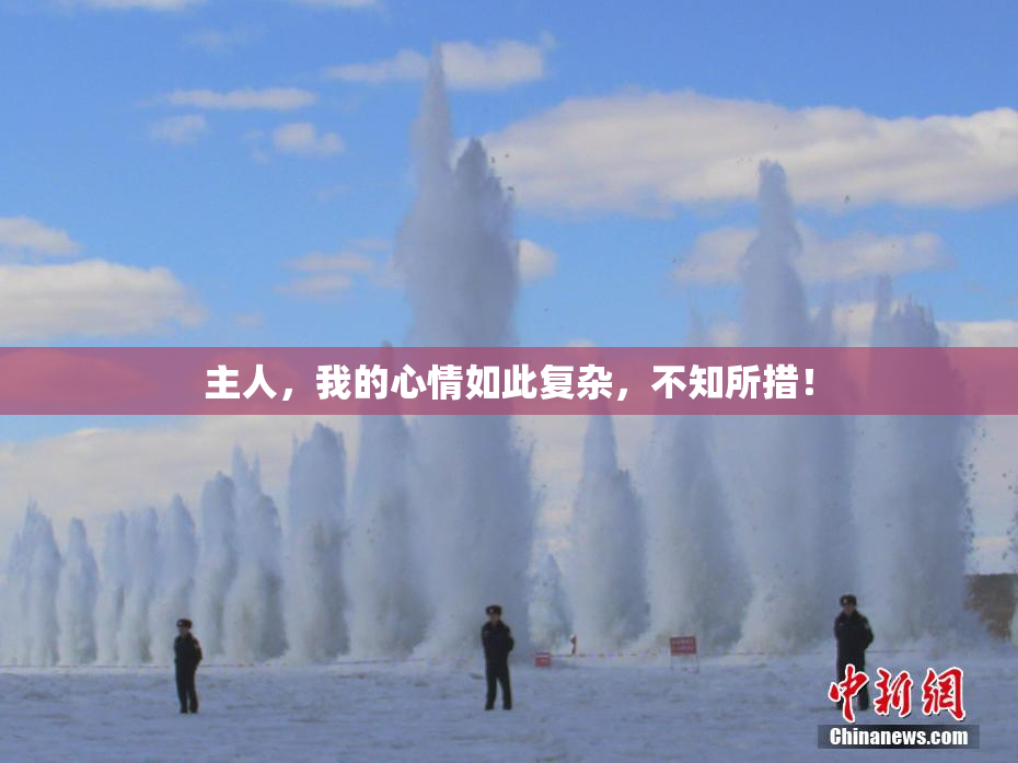主人，我的心情如此复杂，不知所措！
