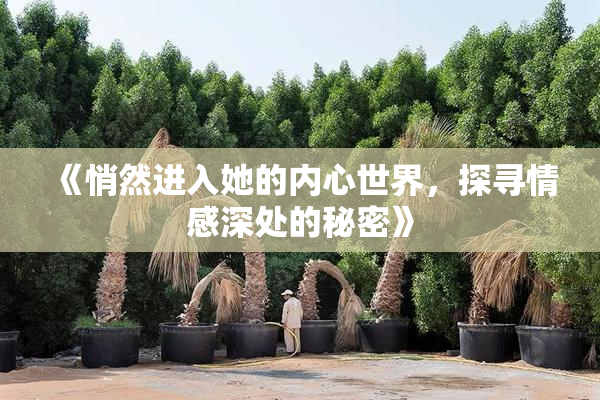 《悄然进入她的内心世界，探寻情感深处的秘密》