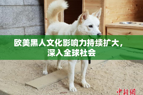 欧美黑人文化影响力持续扩大， 深入全球社会