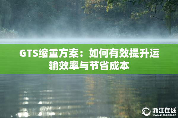 GTS缩重方案：如何有效提升运输效率与节省成本